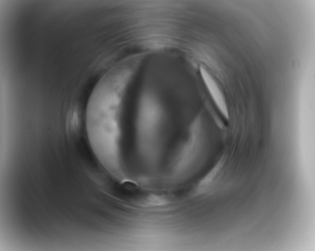 X0000088470166200706051349