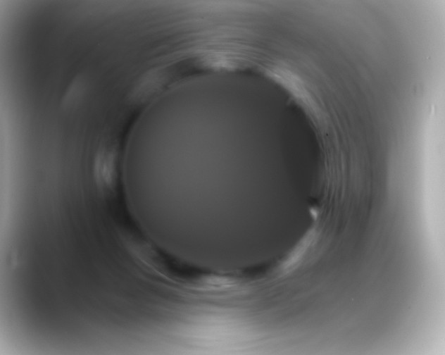 X0000088470167200706051349