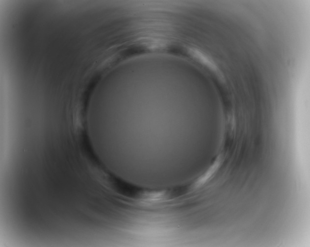 X0000088470170200706051349