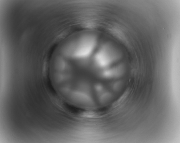 X0000088470171200706051349