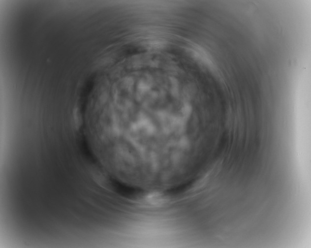 X0000088470173200706051349