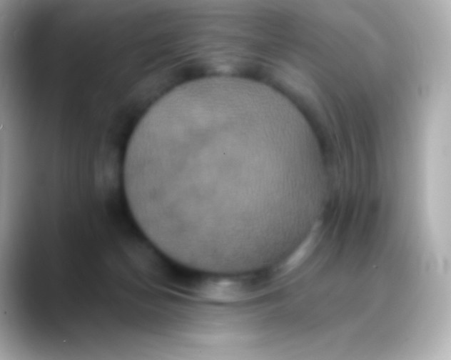 X0000088470174200706051349