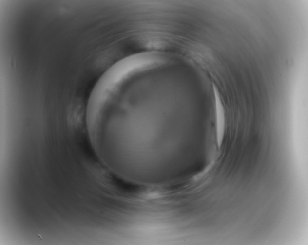 X0000088470175200706051349