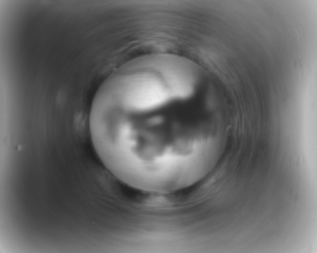 X0000088470177200706051349