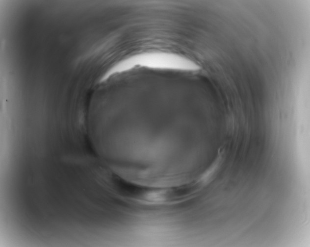 X0000088470178200706051349