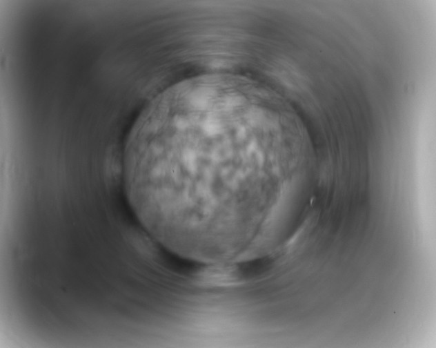 X0000088470179200706051349