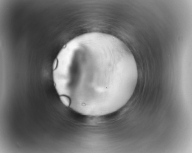 X0000088470181200706051349