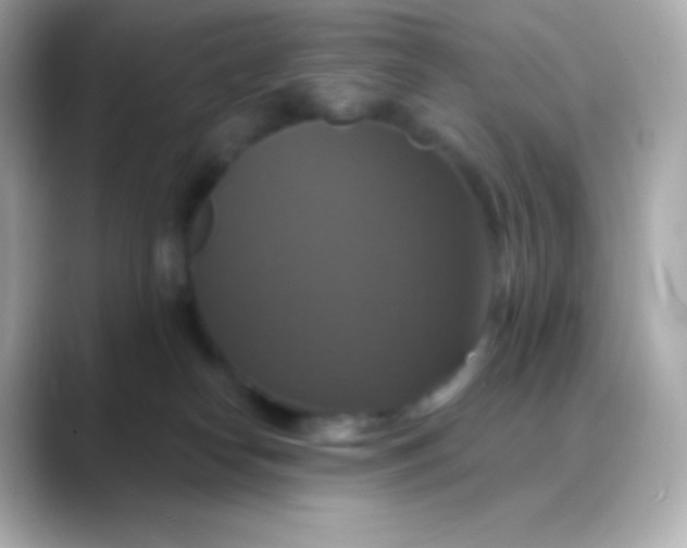 X0000088470182200706051349