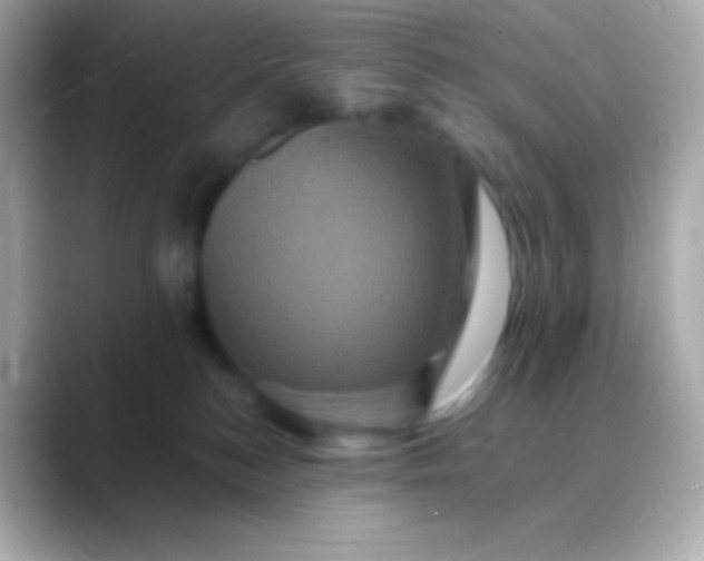 X0000088470184200706051349