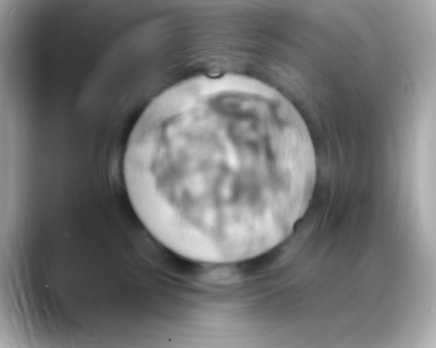 X0000088470185200706051349