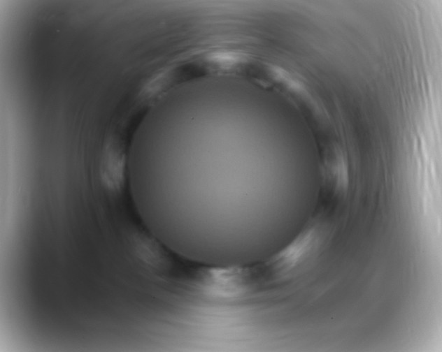 X0000088470188200706051349