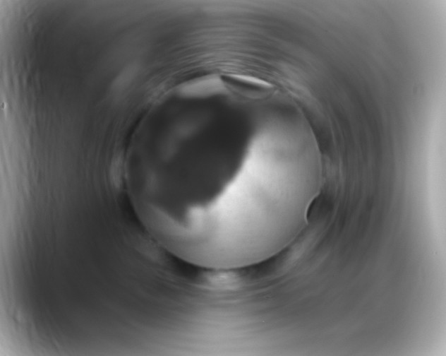 X0000088470189200706051349