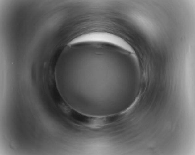 X0000088470191200706051349