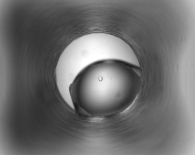 X0000088470192200706051349