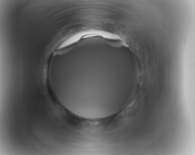 X0000088470194200706051348