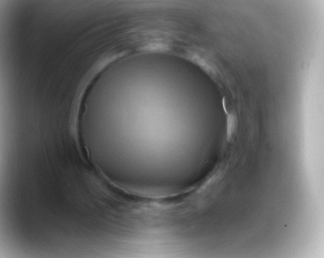 X0000088470195200706051348