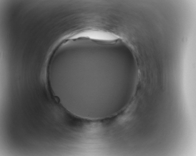 X0000088470196200706051348