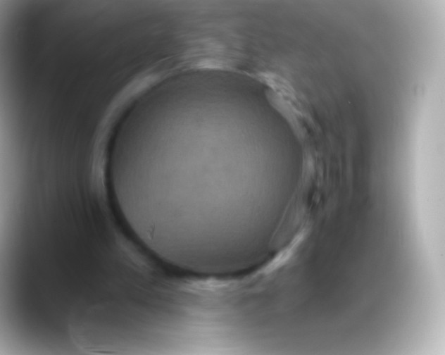 X0000088470197200706051348