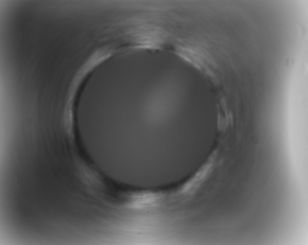 X0000088470198200706051348