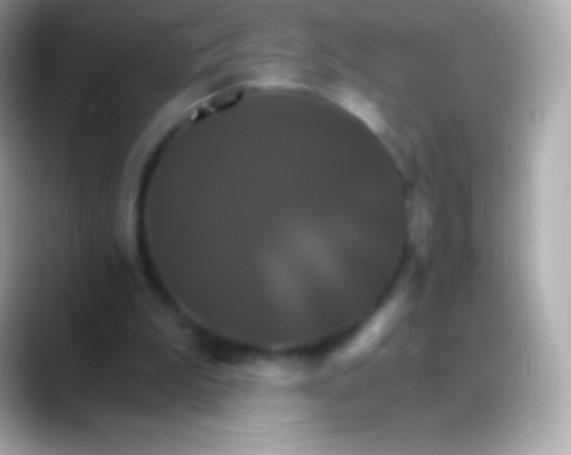 X0000088470199200706051348