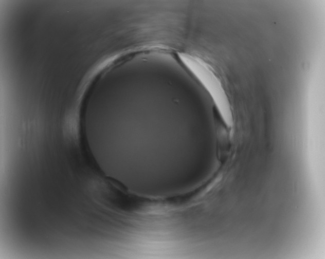 X0000088470200200706051348