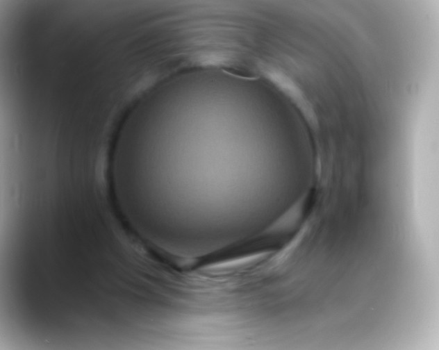 X0000088470201200706051348