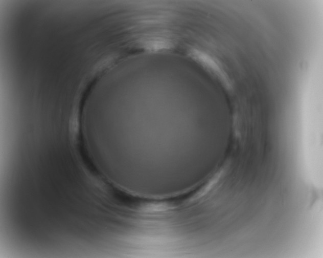 X0000088470202200706051348