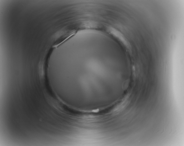 X0000088470203200706051348