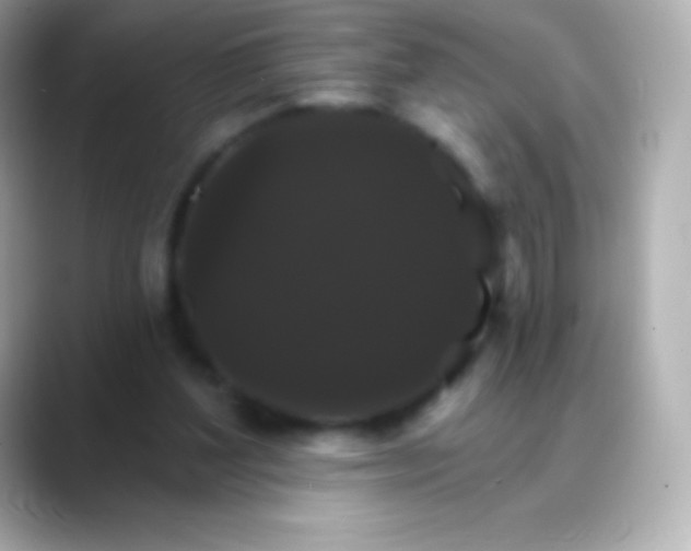 X0000088470204200706051348