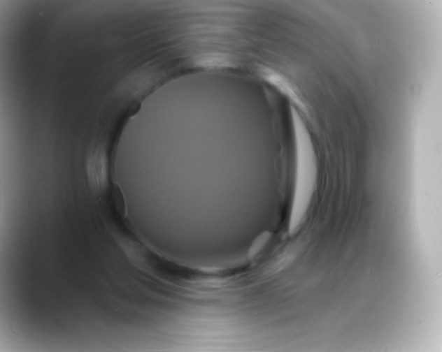 X0000088470205200706051348