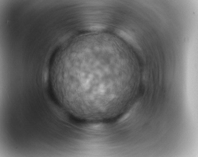 X0000088470206200706051348