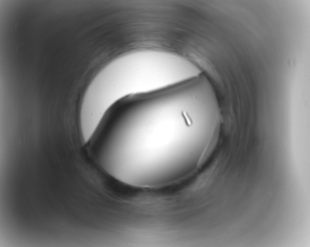 X0000088470207200706051348