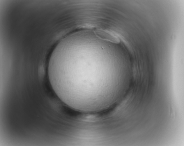 X0000088470208200706051348