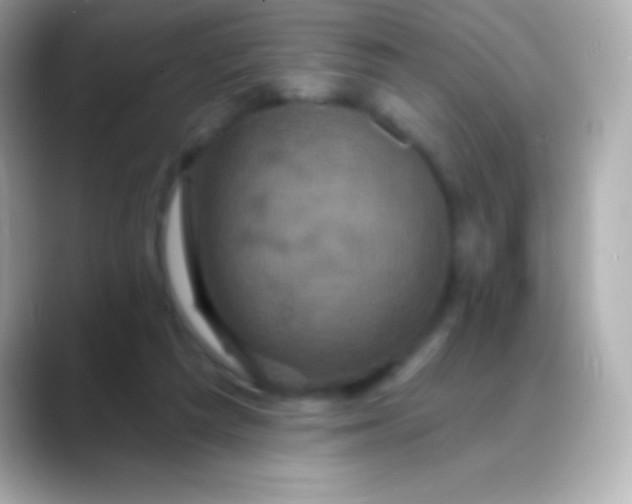 X0000088470209200706051348