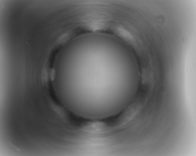 X0000088470210200706051348