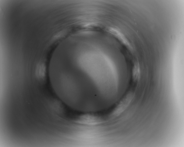 X0000088470211200706051348