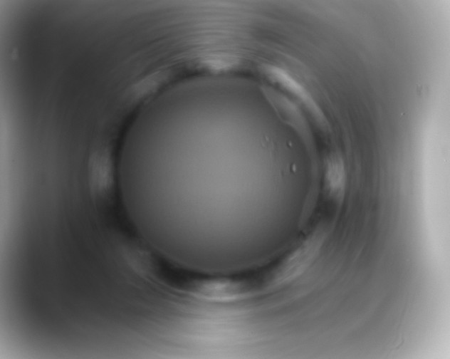 X0000088470212200706051348