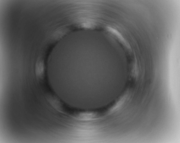 X0000088470213200706051348