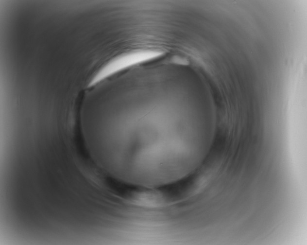 X0000088470215200706051348