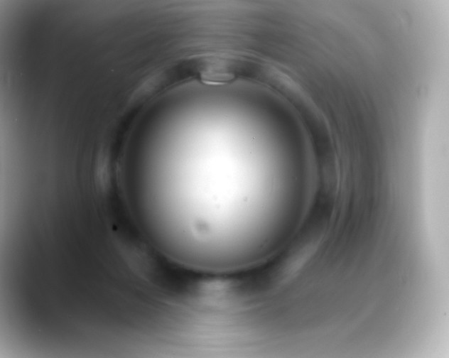 X0000088470216200706051348