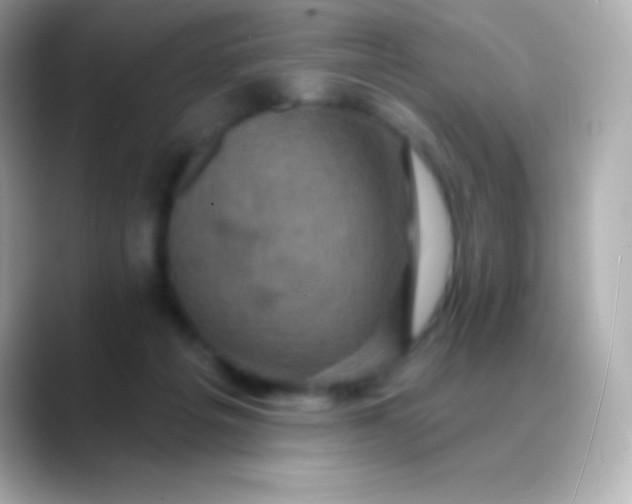 X0000088470217200706051348