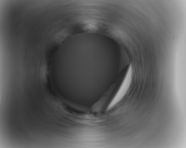 X0000088470223200706051348