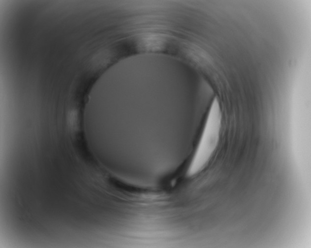 X0000088470224200706051348