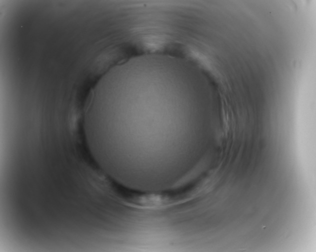 X0000088470225200706051348