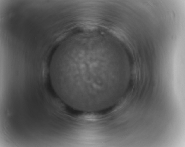 X0000088470228200706051348