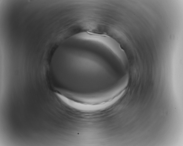 X0000088470229200706051348