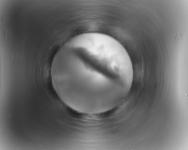 X0000088470230200706051348