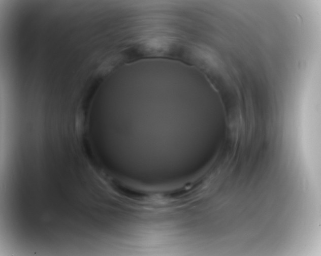 X0000088470231200706051348