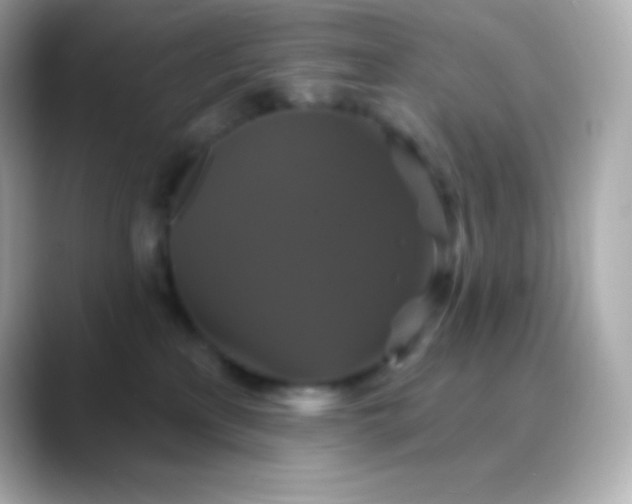 X0000088470233200706051348