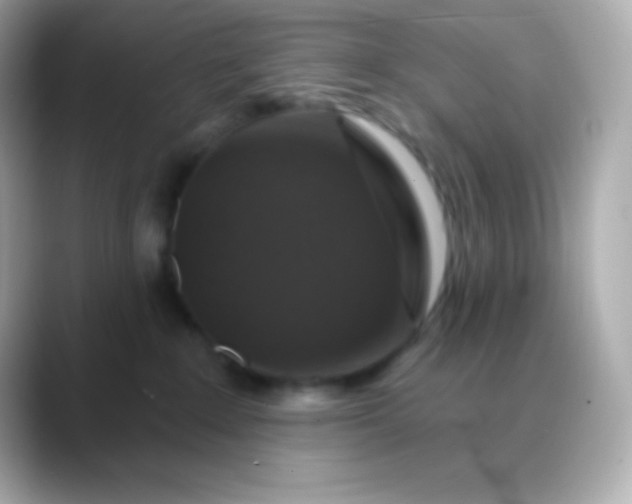 X0000088470235200706051348